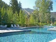 Shared Pool