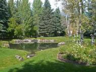 Pond
