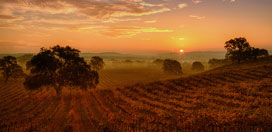 paso robles