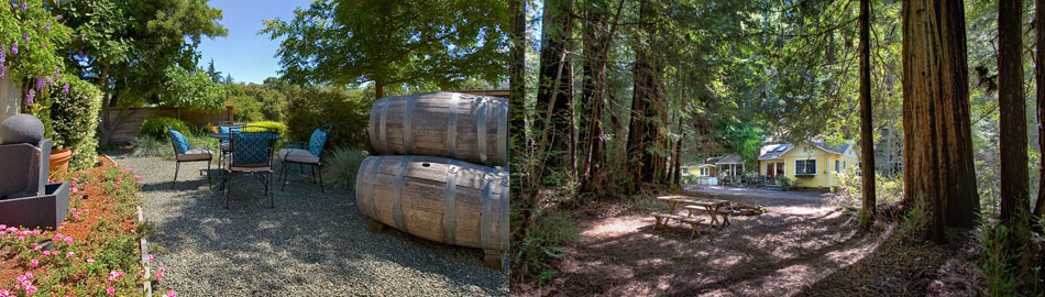 From Water to Wine in Sonoma County 07