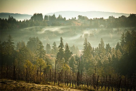 Sonoma, California