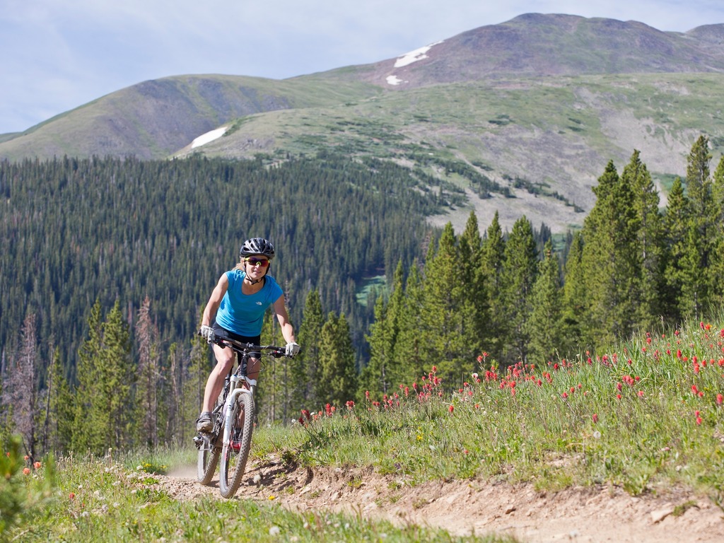 Luxe 2Br 2Ba - Rocky Mountain Views + Walk to Mainstreet Vacation Rental in Breckenridge - RedAwning