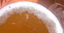 Brews, Malts and Irish Fare at Duffy's Tavern
